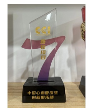 CCI第七期最佳项目奖